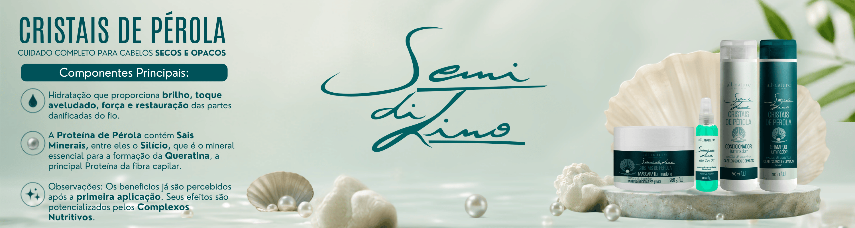 Banner Pagina Semi di lino desktop Banner Pagina Semi di lino desktop